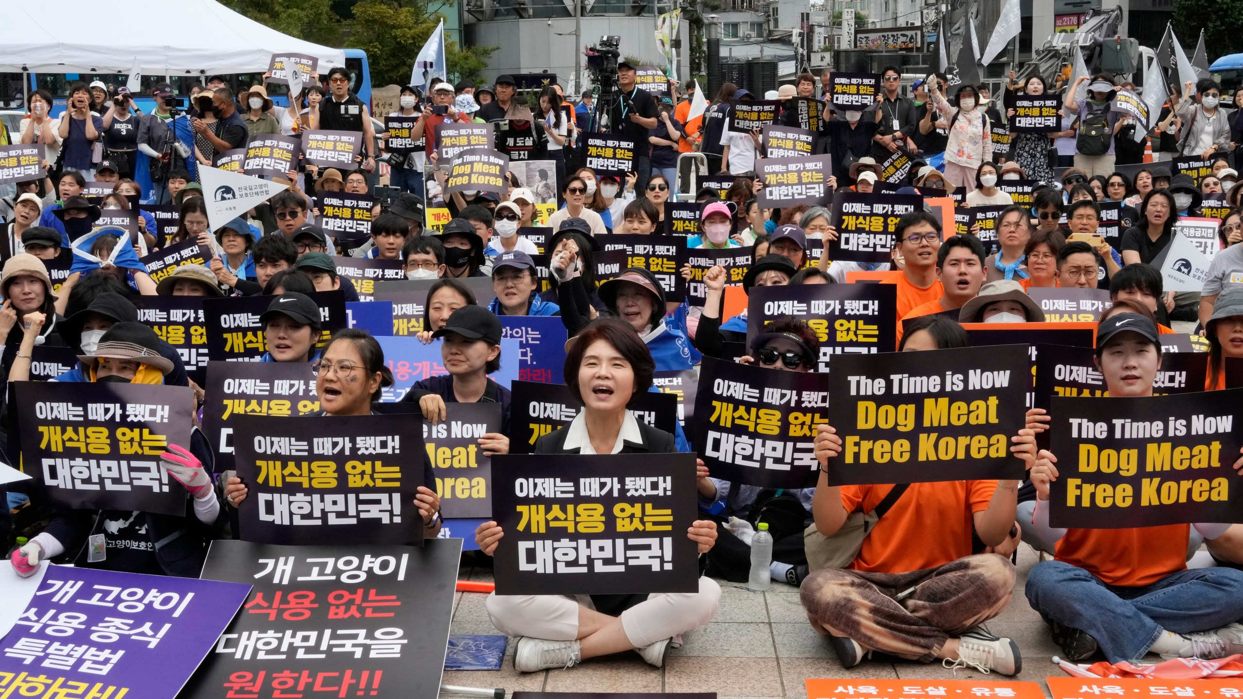 Han Jeoungae, bottom center, an opposition Liberal Democratic Party lawmaker, and animal rights activists stage a rally opposing South Korea's traditional culture of eating dog meat in Seoul, South Korea, Saturday, July 8, 2023. Dog meat consumption, a centuries-old practice on the Korean Peninsula, isn't explicitly prohibited or legalized in South Korea. But more and more people want it banned, and there's increasing public awareness of animal rights and worries about South Korea’s international image. (AP Photo/Ahn Young-joon)