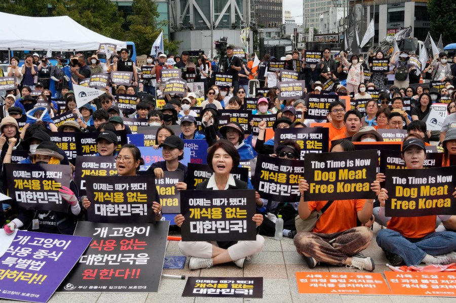 Han Jeoungae, bottom center, an opposition Liberal Democratic Party lawmaker, and animal rights activists stage a rally opposing South Korea's traditional culture of eating dog meat in Seoul, South Korea, Saturday, July 8, 2023. Dog meat consumption, a centuries-old practice on the Korean Peninsula, isn't explicitly prohibited or legalized in South Korea. But more and more people want it banned, and there's increasing public awareness of animal rights and worries about South Korea’s international image. (AP Photo/Ahn Young-joon)