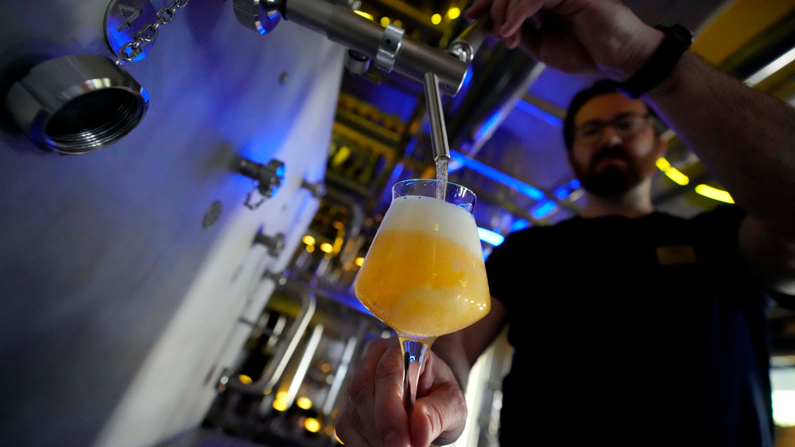 Head Brewmaster Tobias Zollo fills beer at the Weihenstephan brewery in Freising, Germany, Friday, Sept. 20, 2024. (AP Photo/Matthias Schrader)