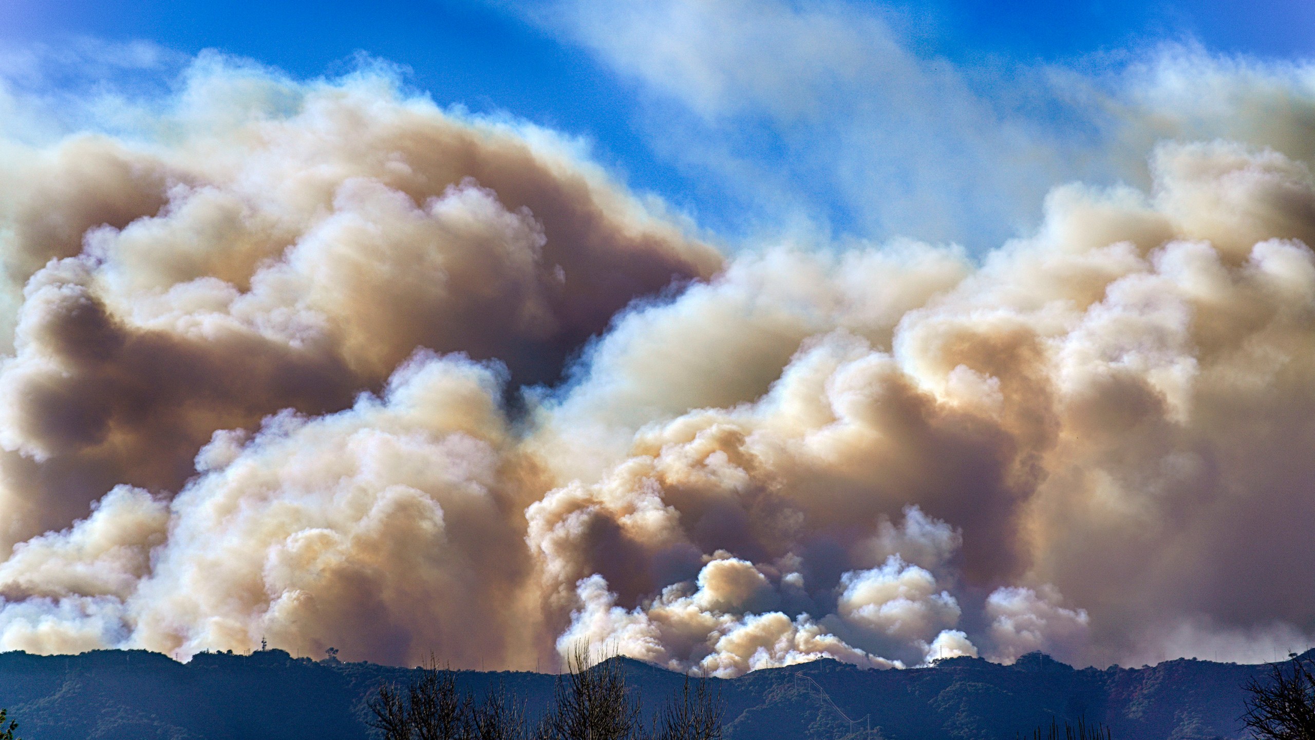 Smoke from the Palisades Fire rises over a ridge as seen from the Encino section of Los Angeles on Saturday, Jan. 11, 2025. (AP Photo/Richard Vogel)