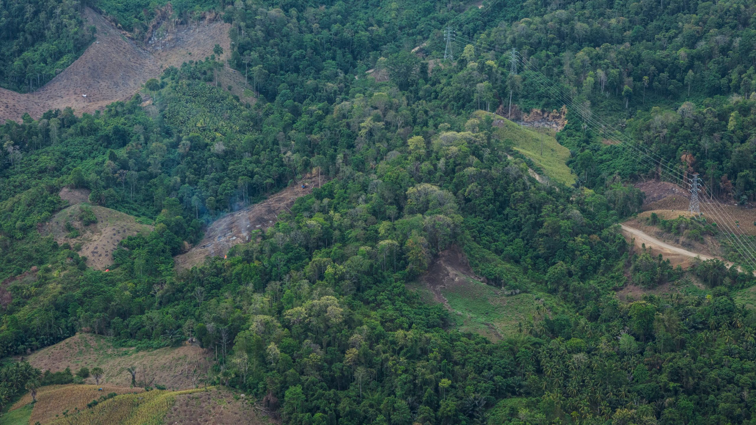 Deforestation is visible near the areas of several wood pellet production companies in Pohuwato, Gorontalo province, Indonesia, Tuesday, Oct. 22, 2024. (AP Photo/Yegar Sahaduta Mangiri)