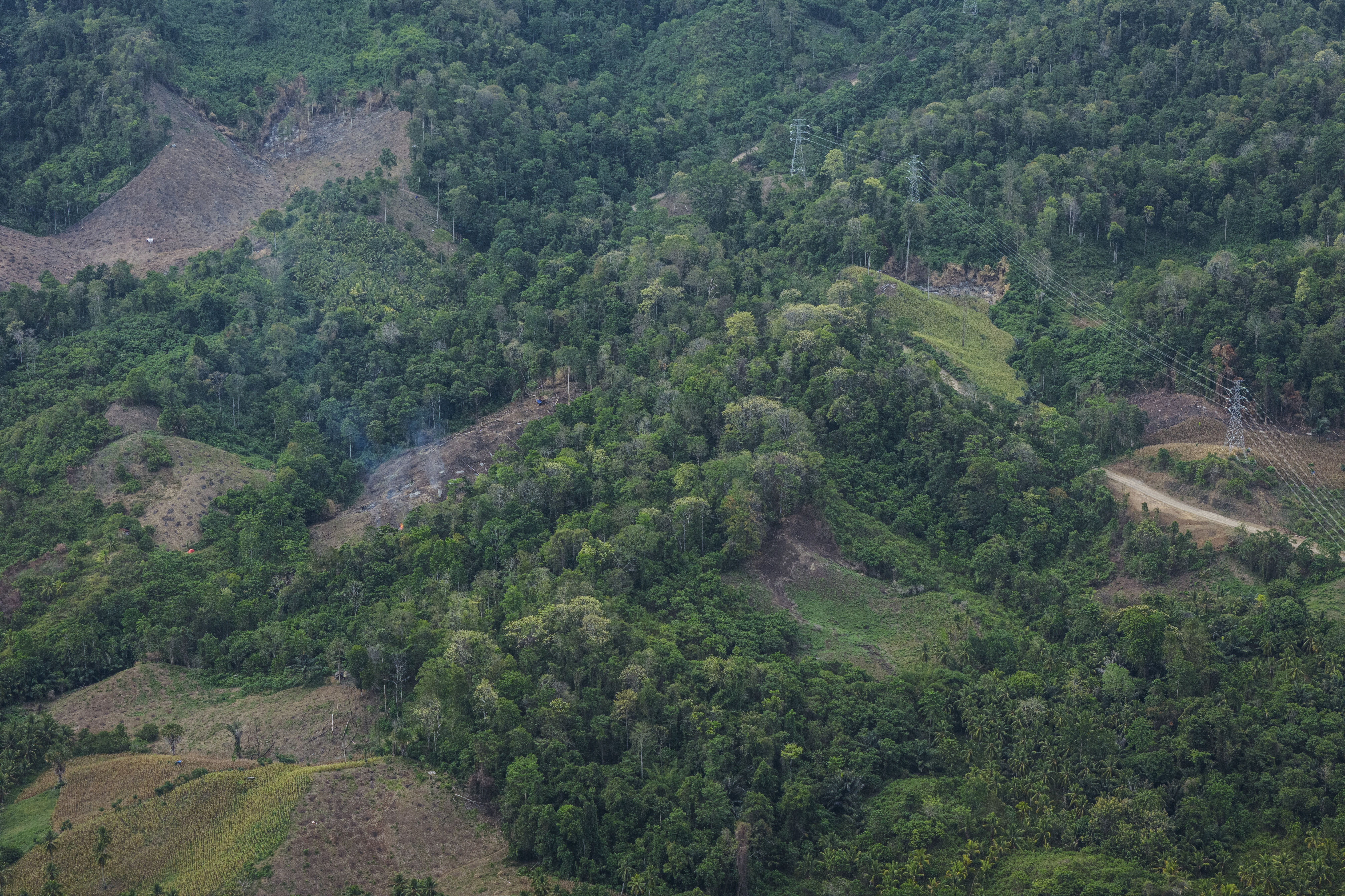 Deforestation is visible near the areas of several wood pellet production companies in Pohuwato, Gorontalo province, Indonesia, Tuesday, Oct. 22, 2024. (AP Photo/Yegar Sahaduta Mangiri)