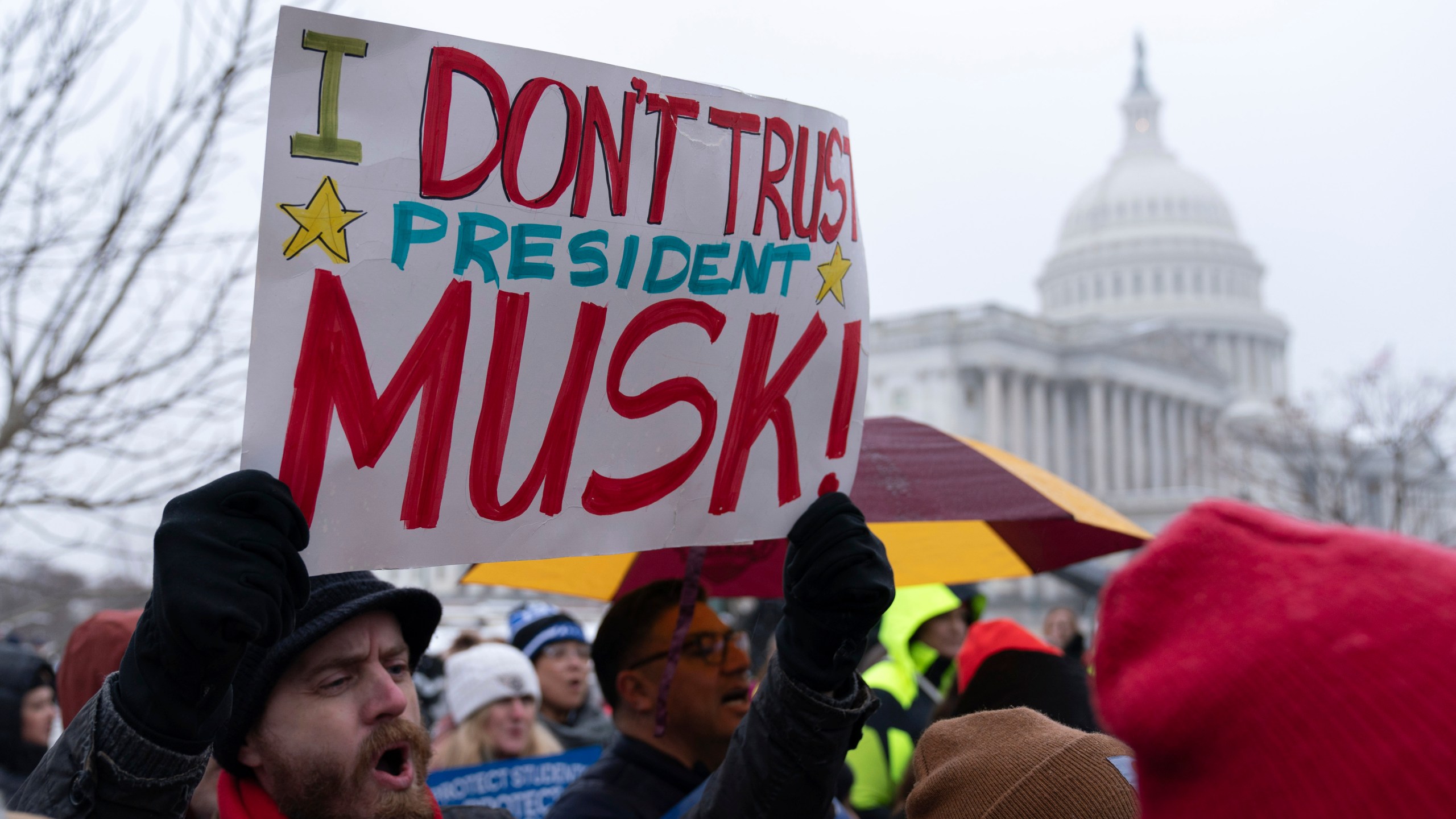 People rally against the policies of President Donald Trump and Elon Musk at the U.S. Capitol in Washington, Wednesday, Feb. 12, 2025. (AP Photo/Jose Luis Magana)