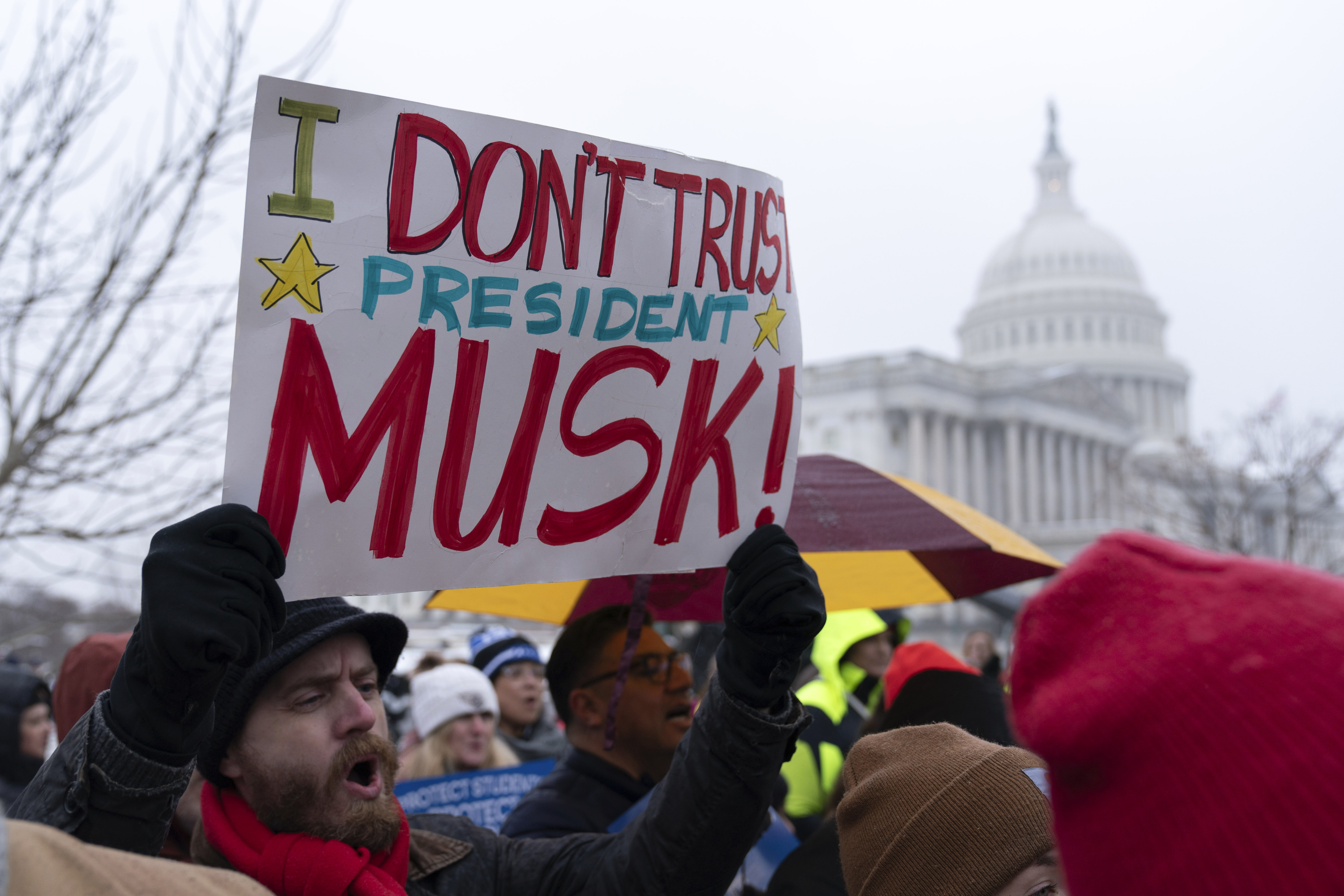 People rally against the policies of President Donald Trump and Elon Musk at the U.S. Capitol in Washington, Wednesday, Feb. 12, 2025. (AP Photo/Jose Luis Magana)