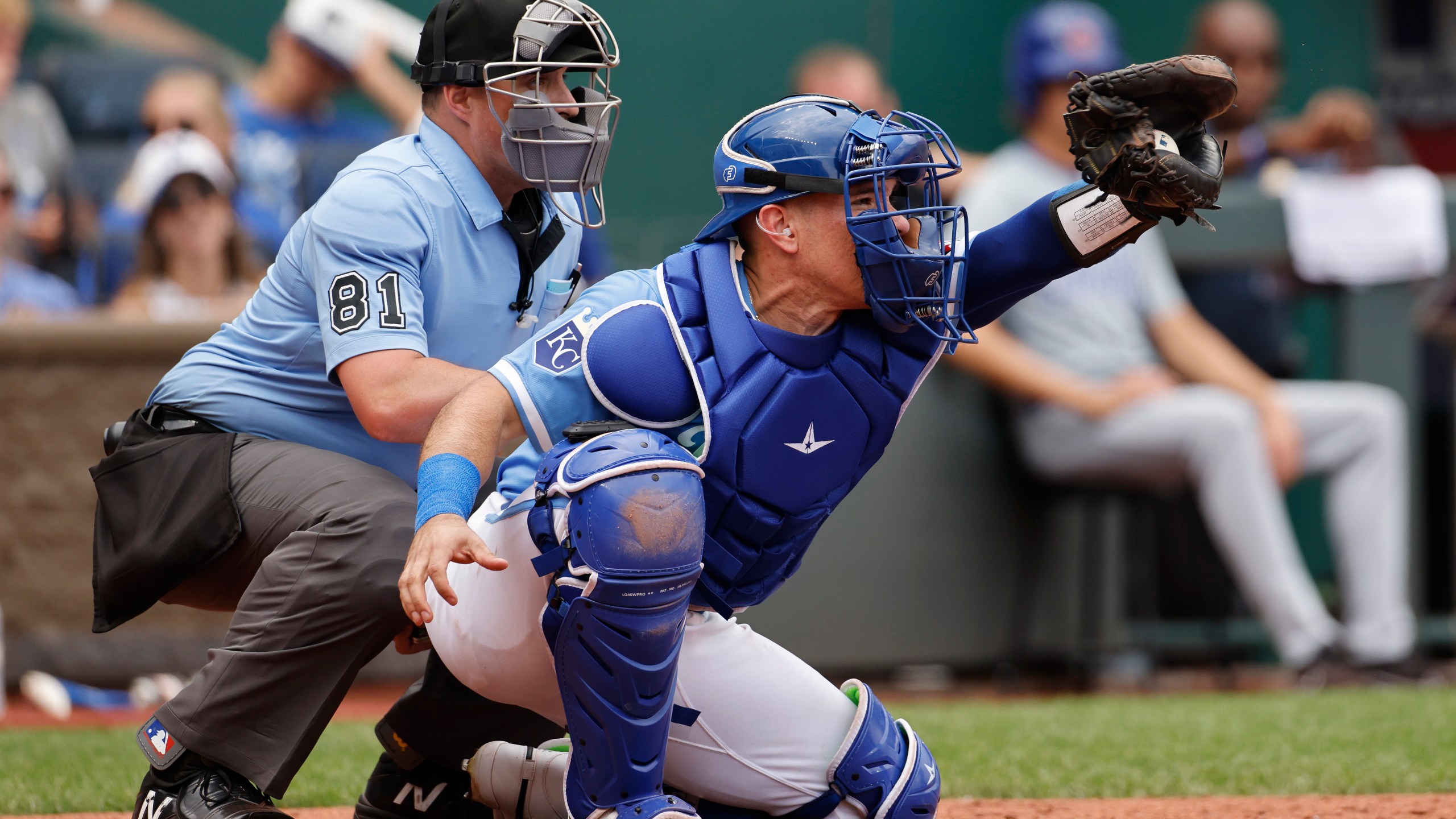 FILE - Kansas City Royals catcher Freddy Fermin (34) takes a pitch as home plate umpire Quinn Wolcott (81) calls the balls and strikes during a baseball game against the Chicago Cubs in Kansas City, Mo., Sunday, July 28, 2024. (AP Photo/Colin E. Braley, File)