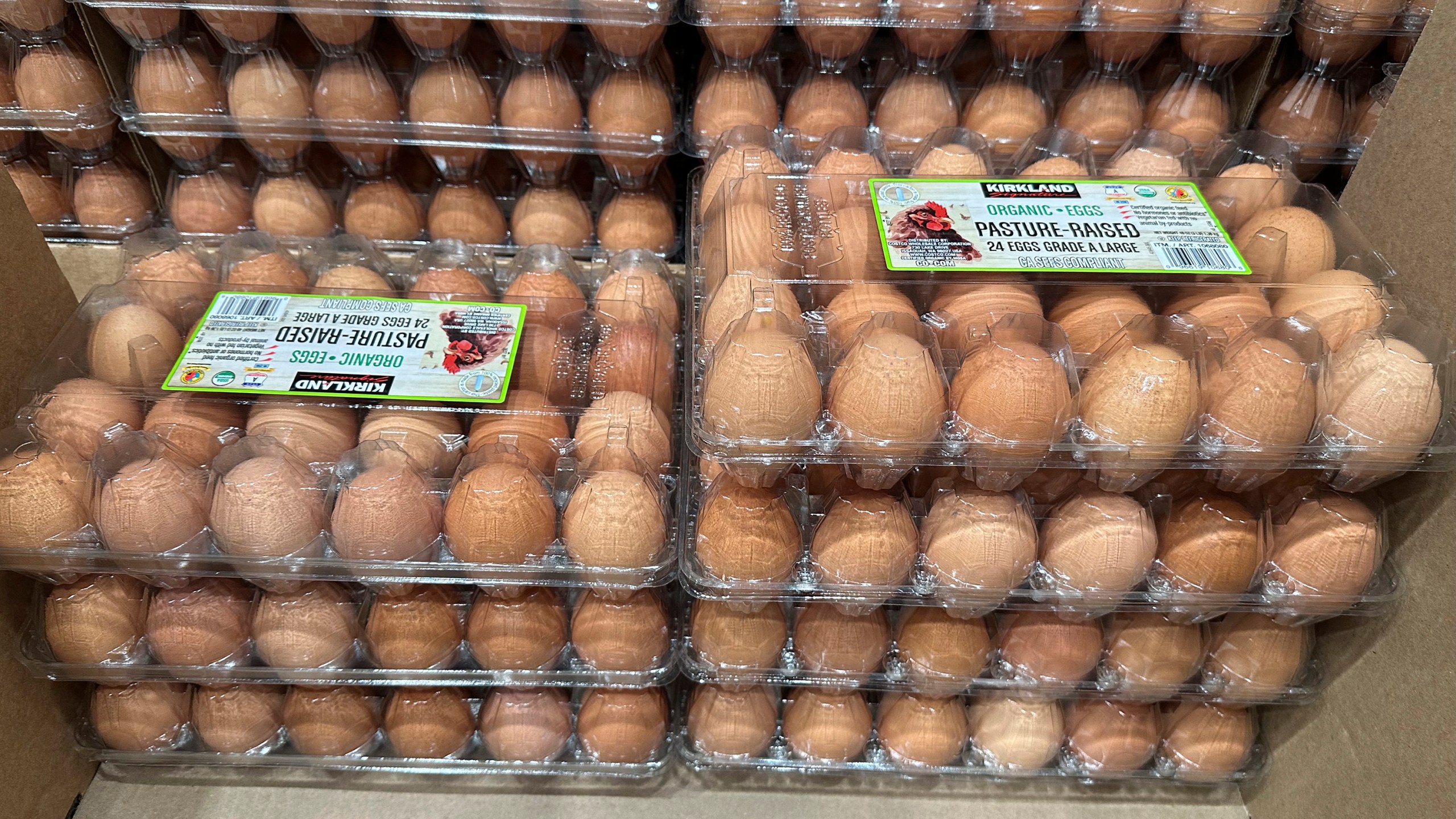 Cartons of eggs sit on display in a Costco warehouse Tuesday, Feb. 18, 2025, in Sheridan, Colo. (AP Photo/David Zalubowski)