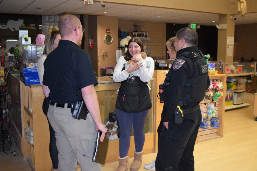 In this photo released by the Arapahoe County Sheriff’s Office, a Perfect Pets worker holds one of two bulldog puppies stolen from the store, after the dogs were returned by a person who bought the dogs from a street vendor, in Centennial, Colorado, Monday, Feb. 24, 2025. (Arapahoe County Sheriff’s Office via AP)