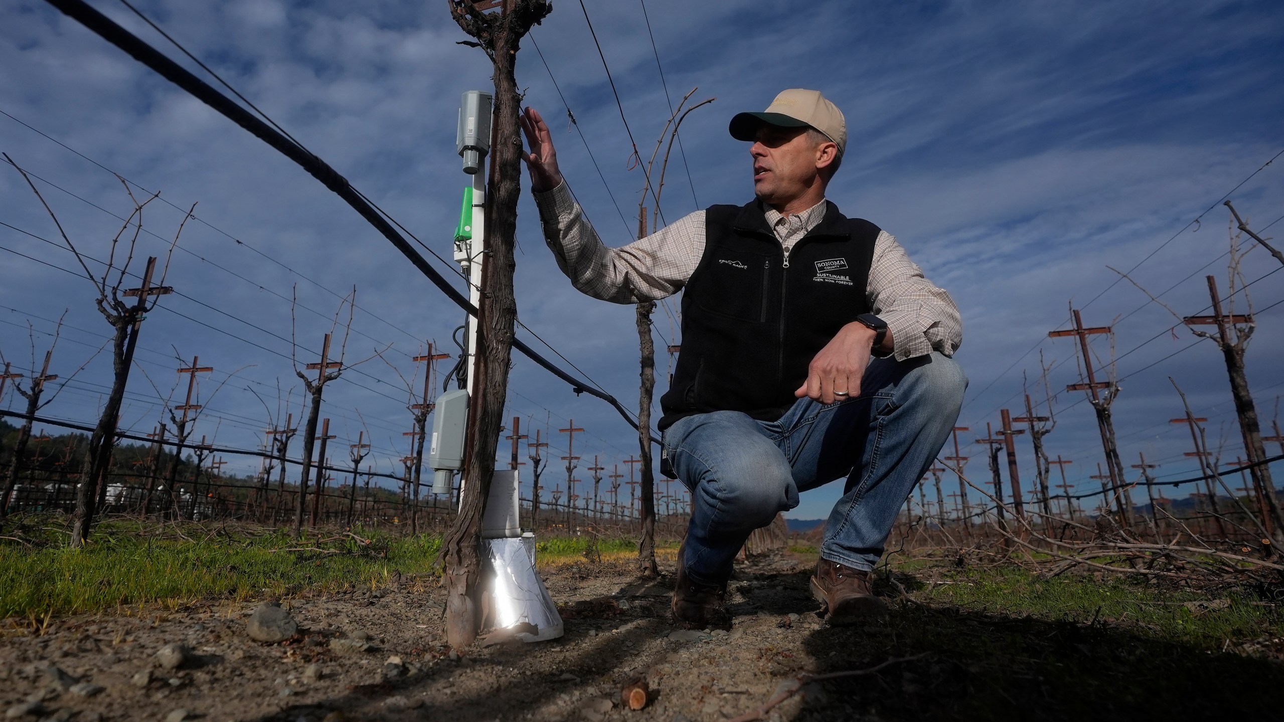 Tyler Klick, Partner/Viticulturist of Redwood Empire Vineyard Management, gestures toward an Agrology Arbiter system, which measures soil respiration, soil temperature and ambient temperature, during an interview on AI technology used in the wine industry in a Chardonnay production vineyard in Geyserville, Calif., Friday, Jan. 24, 2025. (AP Photo/Jeff Chiu)