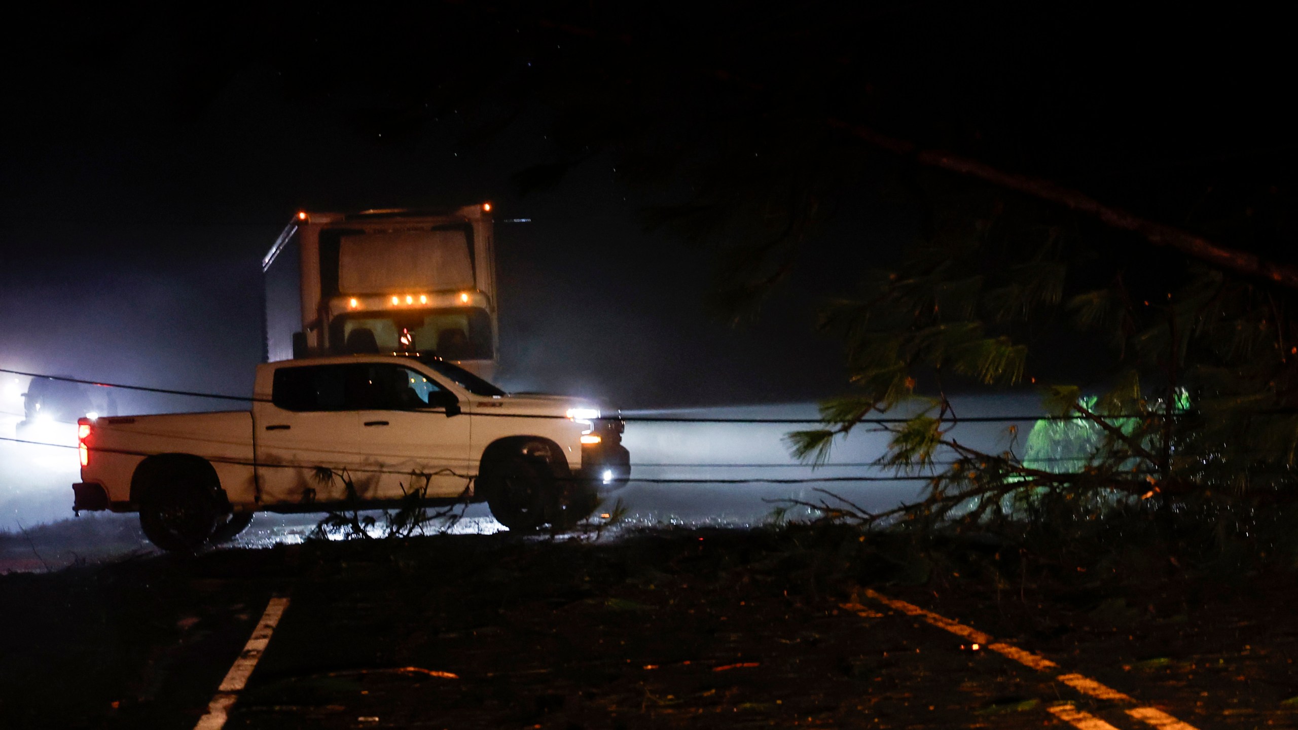 Downed trees and power lines block a road along Highway 82 after a tornado passed through, Sunday, March 16, 2025, in Maplesville, Ala. (AP Photo/Butch Dill)