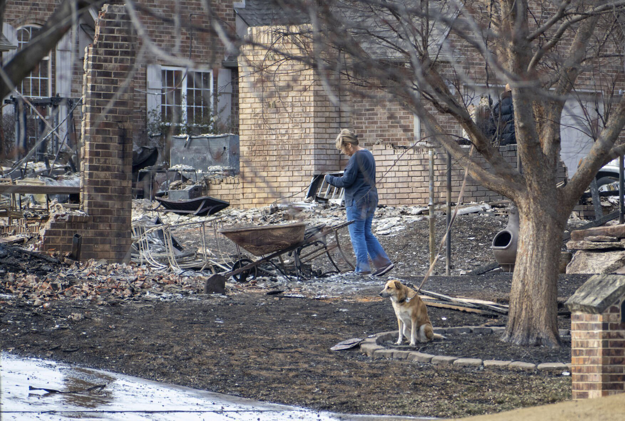 A dog sits in the front yard as a Stillwater, Okla., resident assesses the damage in the Crosswinds and Pecan Hill communities, Saturday, March 15, 2025, due to Friday's wildfires on the west side of town. (Jason Elmquist/The News Press via AP)