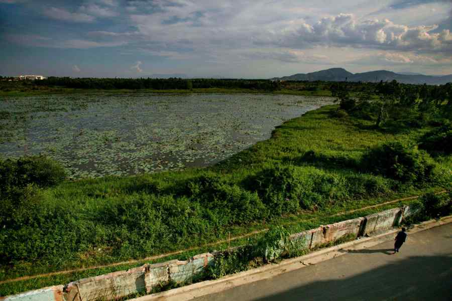 FILE -A woman walks next to a highly contaminated pond around the grounds of the Danang airbase in Danang, Vietnam, May 21, 2007. (AP Photo/David Guttenfelder, File)