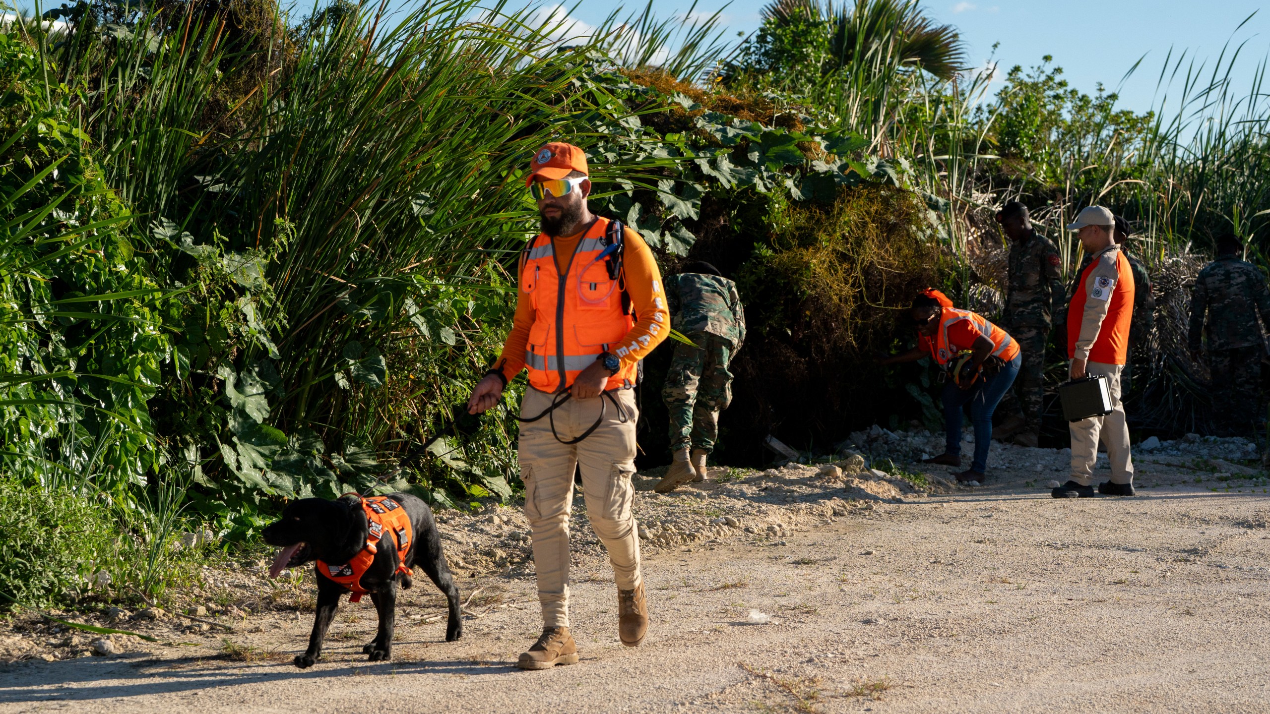 A member of civil defense canine unit searches for Sudiksha Konanki, a university student from the U.S. who disappeared on a beach in Punta Cana, Dominican Republic, Monday, March. 10, 2025. (AP Photo/Francesco Spotorno)