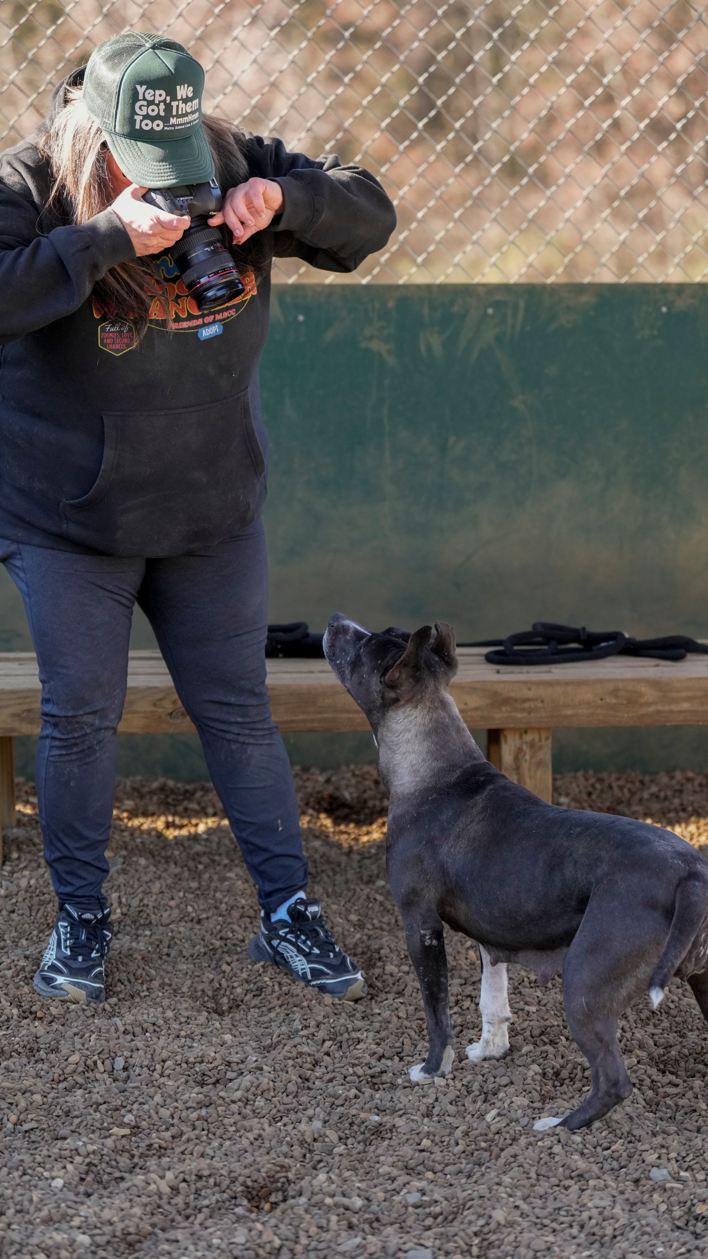 Volunteer Adrian Budnick takes a picture of a dog at the Metro Animal Care and Control facility Thursday, Feb. 20, 2025, in Nashville, Tenn. (AP Photo/George Walker IV)