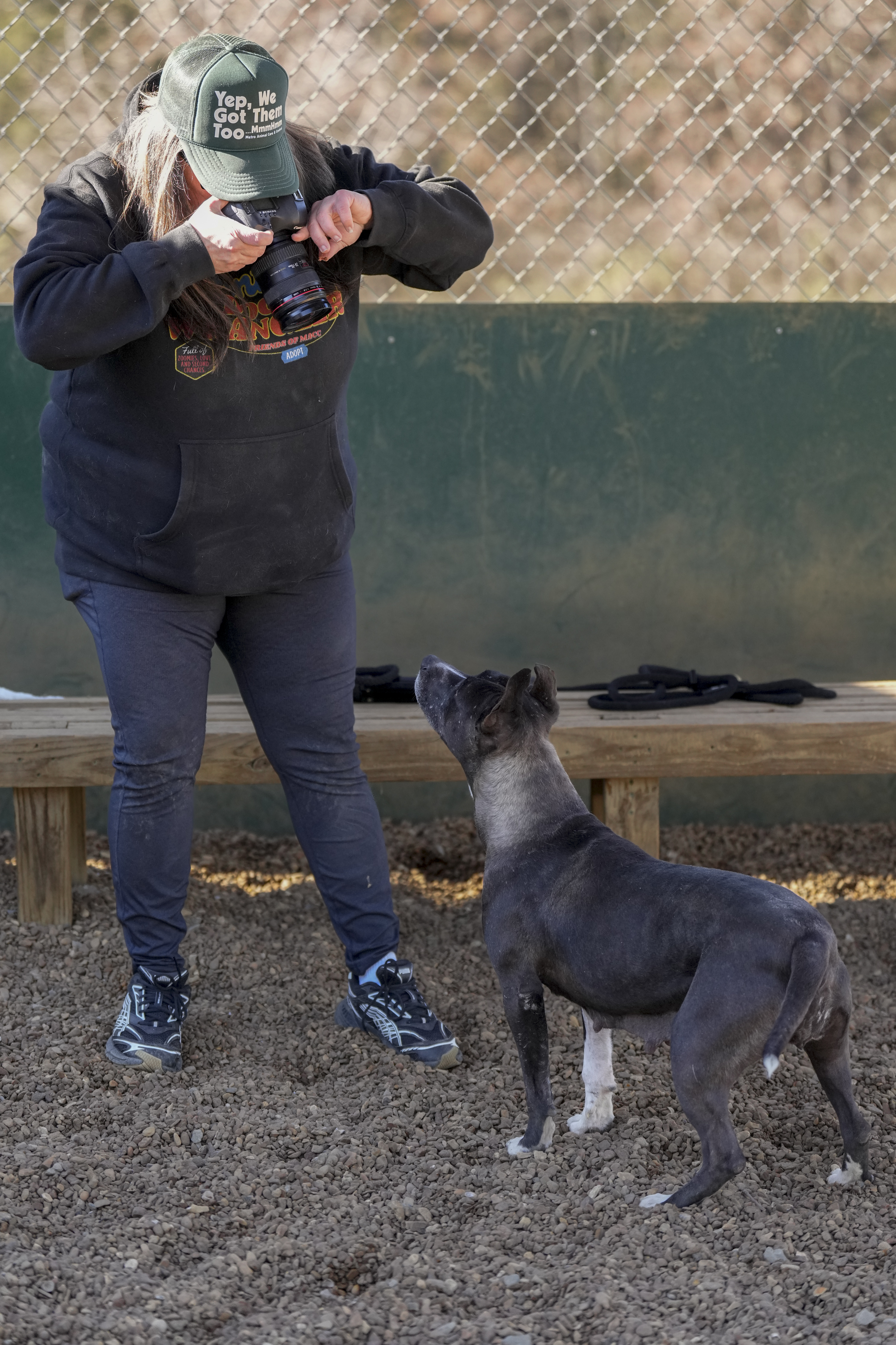 Volunteer Adrian Budnick takes a picture of a dog at the Metro Animal Care and Control facility Thursday, Feb. 20, 2025, in Nashville, Tenn. (AP Photo/George Walker IV)